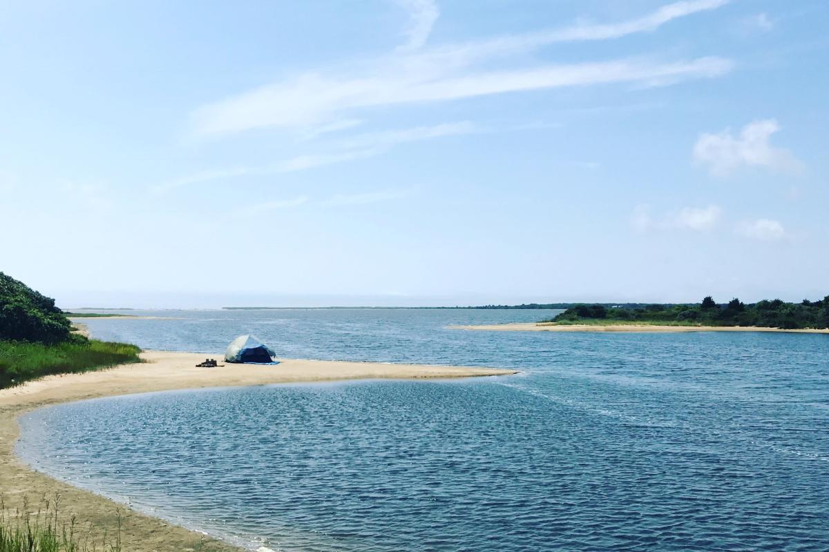 Tisbury Great Pond by Tom Shropshire